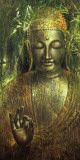 Buddha in Green l