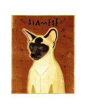 Siamese