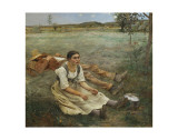 Hay Harvest  c1877