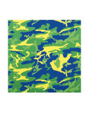 Camouflage  c1987 (green  blue  yellow)