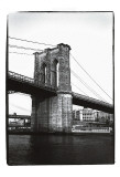Bridge  c1986