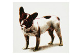 Dog  c1986