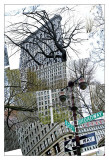 Flatiron Collage