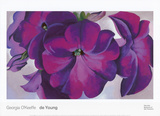 Petunias  c1925