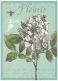 Fleurir Nouveau