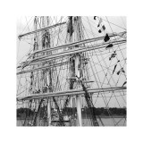 Graceful Sailing Yatch III