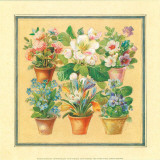 Flower IV