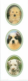Decorative Panels Dogs I
