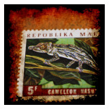 Cameleon Stamp