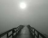 Into the Fog I
