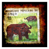 Buffalo Stamp