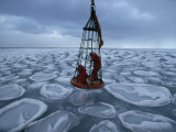 Biologists Search for Ice Stained Brown with Algae