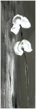 L'Heure du Sud  Deux Fleurs