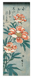 Peonies
