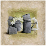 Fleurs Blanches et Arrosoir