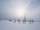 Winter Sun Plays across a Snowy Landscape