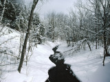 A Winter View of Rush Brook  Camel's Hump State Park  Vermont