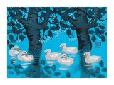 Six Swimming Swans