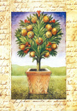 Fruti Mediterranei II