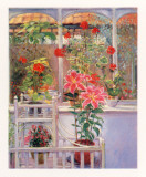 Through the Conservatory Window