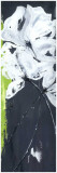Fleurs Blanches et Frise Verte II