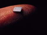 Extreme Close-Up of a Microchip on a Fingertip