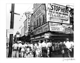 Nathan's Hot Dogs  Coney Island  New York  c1960