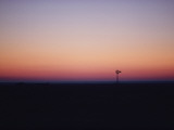 A Solitary Windmill Breaks the Flat Horizon of Dawn