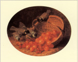 Red Currants and Cherries
