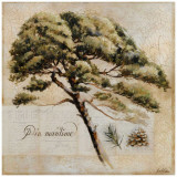 Pin Maritime