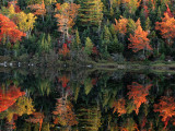 A Shore Lined with Trees in Autumn Hues Casting Reflections in Water