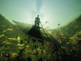 A Bushman in a Canoe Peering Down into Flood Waters of the Okavango