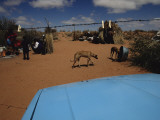 View over a Car Hood of the Bushman Village of Wit Draai