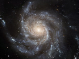 The Messier 101  or Pinwheel  Galaxy Spins in Pixel Perfection
