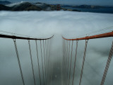 Cables of the Golden Gate Bridge Above the Early Morning Fog