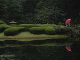 A Lone Person Sits in a Garden at Tokyo's Imperial Palace