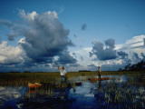 Men Pole Canoes of Seminole Design across the Swamps