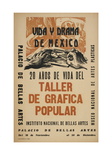 Life and Drama of Mexico: 20 Yrs in the Life of the Taller De Grafica Popular