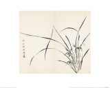 Orchids after Wen Zhengming