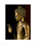 Buddha Shakyamuni  Detail