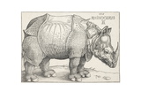 The Rhinoceros