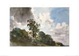 A Study of Clouds and Trees