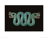 Double-Headed Serpent