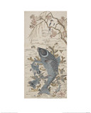 Carp and Swallow