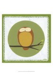Owl Cameo I