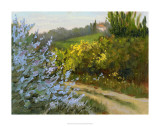 Rosemary by the Road