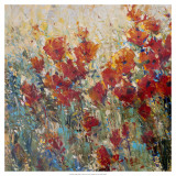 Red Poppy Field I