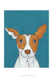Pet Portraits II