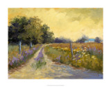 Fall's Golden Fields