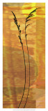 Sunset Duet IV